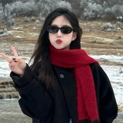 美国叛徒：轴心莎莉的审判