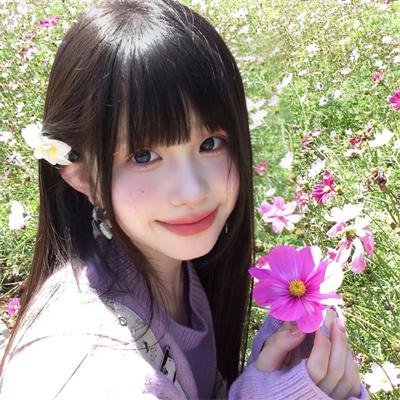 鹬